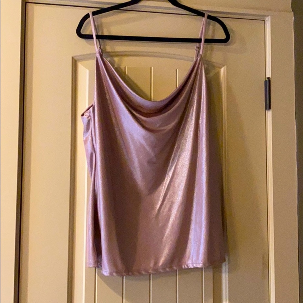 NWT Champagne Metallic Tank Top